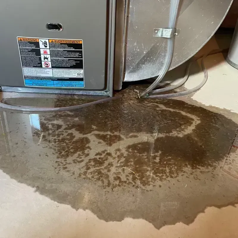 Appliance Leak Cleanup in Gorman, NC